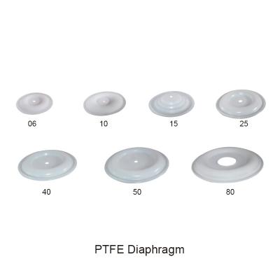 China De diafragmaptfe Lucht stelde de Dubbele Delen van de Diafragmapomp in werking Te koop