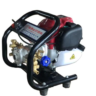 China High Power Agriculture DL Gasoline Efficient Portable Spray Pump Agricultural Sprayer for sale