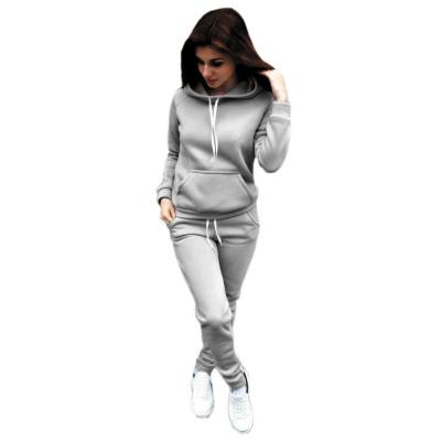 China Sustainable Hot Sale Sports Fashion Sweater Suit New Winter Plus Size Womens Clothing for sale