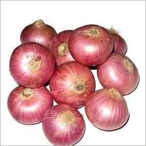 China 8cm Fresh Onion Without Pesticide Residue , Including Vitamins And Minerals for sale