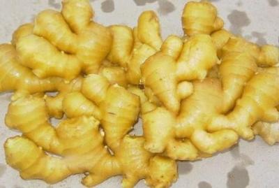 China Big Bright Yellow Fresh Ginger In Richful Of Vitamin , Protein 20kg/mesh Bag for sale