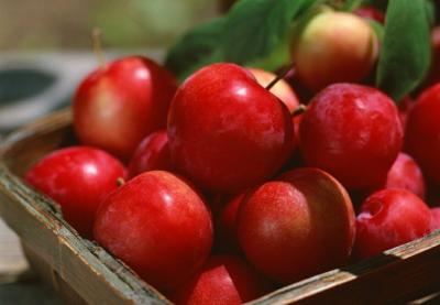 China Round Pome Fruit Red Gala Apple Small , Average Weight 280g for sale