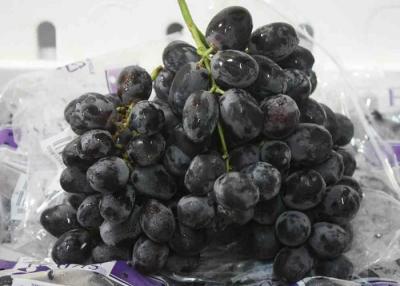 China High Nutritional 25mm Currant Fresh Red Grapes Seedless Sweet for sale