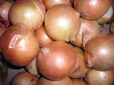 China Professional Yellow Fresh Onion Large 90mm With ISO , HACCP , FDA 10kgs/ctn for sale