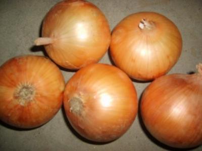 China Yellow New Crop Fresh Onions Specification 5cm - 7cm , 7cm - 9cm for sale