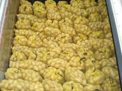 China Amarelo 100% liso fresco da batata da Holanda da maturidade dentro da caixa de 20 quilogramas à venda