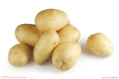 China 2014 New Crop Thin Skin Smooth Fresh Holland Potatoes 50 - 100g No Fleck for sale