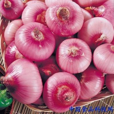 China 70mm - 90mm Small Natural Fresh Onion Red 5kg / Mesh Bag for sale