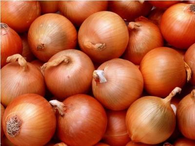 China Chinese Natural Fresh Onion 30mm - 50mm With ISO , HACCP , FDA for sale