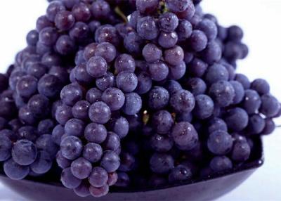 China Health Currant Fresh Purple Grapes 23mm with Haccp , Global Gap for sale