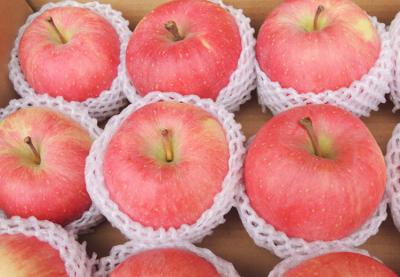 Cina frutta fresca Fuji Apple rosso, salute di 65mm - di 60mm nessun residuo di antiparassitario in vendita