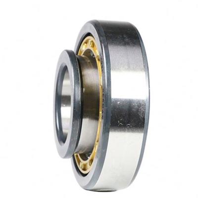 China Hotels High Tech Cylindrical Roller Bearings NU417 85*210*52mm for sale