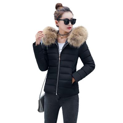 China Onenweb Anti-wrinkle winter women new thicken cotton fur collar hooded coat down short parka jacket blazer coat women for sale