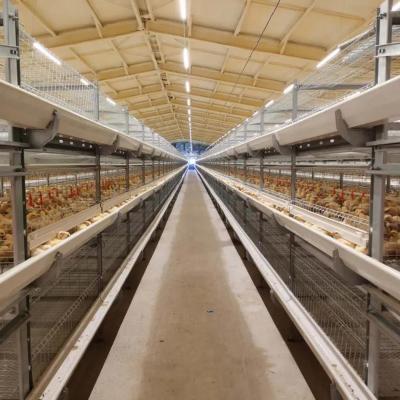 China Steel Structure Steel Structure Chicken Shed New Yinong China Prefab Design Prefab Chicken Farm Housing Construction Poultry Shed Poultry House for sale