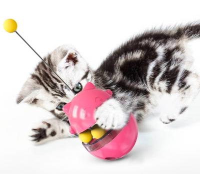 China Viable Hot Sale Cat Toys Catching Cats Brushing Funny Cat Toys Leaking Amazon Catnip Food Toys for sale