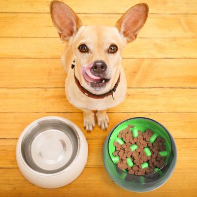 China Wholesale New Viable Slow Food Shake Pet Bowl Dog Bowl Pet Bowl and Feeder Fun Puzzle Tumbler for sale