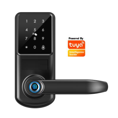 China Aluminum Alloy Tuya Desk Push-Pull Glass Handle Keyless Ttlock Audio App Digital Lockset Fingerprint Smart Lock With Key Doorbell for sale