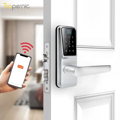 China Hotel Apartments Office Smart Cerraduras Tediton Candado Inteligente Tuya Wifi Fingerprint Door Fechadura Digital Home Lock for sale