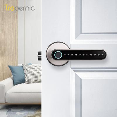 China ttlock Zinc Alloy Fechadura Digital Tuya App Keyless Password Keypad Lever Entry WiFi Fingerprint Smart Biometric Door Handle for sale