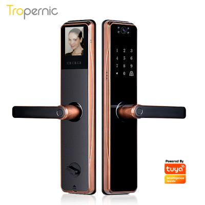 China Zinc Alloy Keyless Electronic Biometric Fingerprint Front Door Security Panel Smart Door Lock With Tuya Wifi Camera for sale