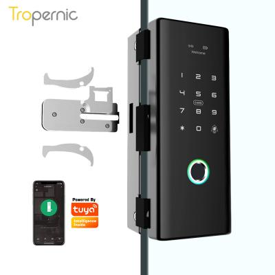 China Wholesale Multi-Functional Frameless Electronic Biometric Fingerprint Smart Tuya Swing Glass Magnetic Sliding Glass Door Lock Double Door Lock for sale