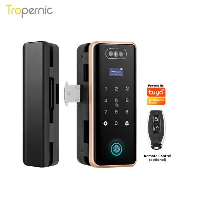 China New Digital Face Recognition Hotel Home Office Apartments Tuya Wifi Frameless Glass Fingerprint Sliding Smart Door Lock For Office for sale