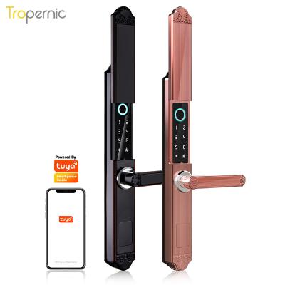 China Tuya IP68 Zinc Alloy Waterproof Biometric Smart Fingerprint Wifi Aluminum Sliding Glass Door Lock for sale