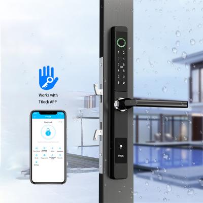 China Ttlock Waterproof Biometric Glass Door APP Fingerprint Stainless Steel Handle Aluminum Digital Sliding Smart Door Lock for sale