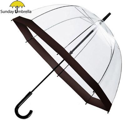 China All In 1 SUNDAY Promotion Fashion Lady Superior Plastic Handle Clear Dome Umbrella, Bubble Umbrella for sale