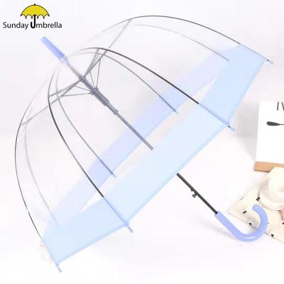 China All in 1 SUNDAY wholesale customized cheapTransparent Clear Bubble PVC POE Umbrella for sale