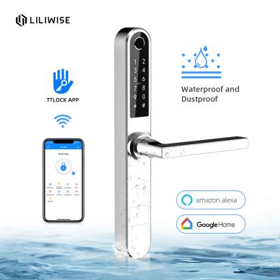 China Office Security Electronics And Tech Fingerprint Intelligent Smart Wifi Set Door Lock With Fingerprint for sale