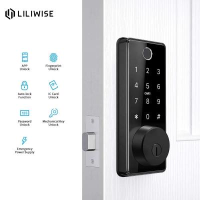 China Home/Apartment/Airbnb/Office Factory Security System Intelligente Wifi Direct Biometric Fingerprint Smart Digital Electronic Door Lock for sale