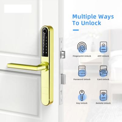 China Smart Home Office Residence Ttlock Fingerprint Passcode Card Wifi Smart Lock for sale