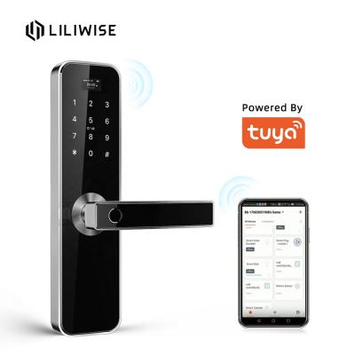 China Tuya Smart Home/Apartment/Airbnb Door Lock/Airbnb Smart Home Office Residence Door Wifi Card Passcode Fingerprint Lock for sale