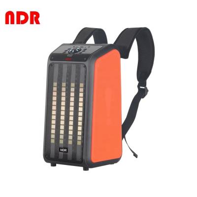 China Best Selling 6.5 Inch DJ Party Radio 2022 Outdoor Party Speaker Indoor Outdoor Big Box Speakers With Light for sale