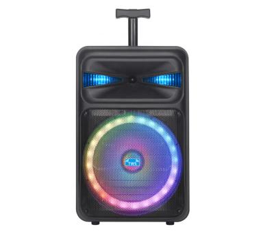 China LED Flashing Light OEM 12inch DJ Sound System Outdoor Portable Speaker Karaoke Cart Rechargeable Speaker With Light for sale