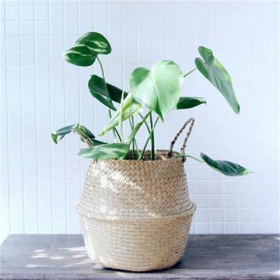 China Wholesale Cheap Handcrafted Flat Woven Handwork Plant Plankton Basket Wicker Box Rattan Storage Basket Viable Lid Basket With Wooden Handle for sale