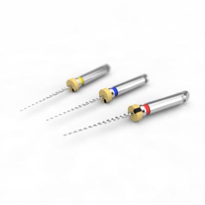 China Ficheros sometidos a un tratamiento térmico Endo de 300rpm 19m m Niti para la endodoncia Treatmant en venta