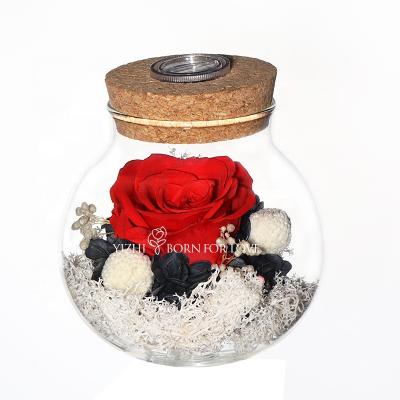 China Beautiful 100% Handmade Unique Preserved Colorful Flowers Preserved Flowers in Glass Dome for Birthday Gift for sale