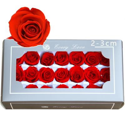 China Beautiful Colorful DIY Flower Box Gift Box 2.3cm Preserved Rose Heads Decorative Flowers and Garlands for sale