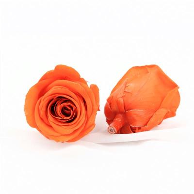 China Preserved Artificial Flower Colorful Wholesale Beautiful Valentines Decorative Flower Gift Wedding Mounted Flowers for sale