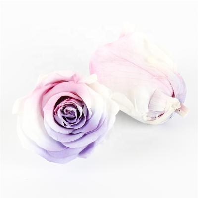 China Wholesale A grade pink&purple colorful beautiful gradient preserved flower 4-5 cm complex everlasting flowers rose head for sale