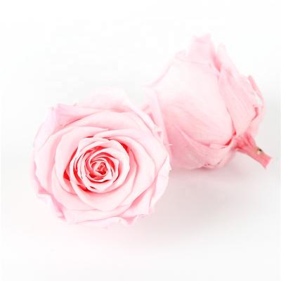 China Wholesale Beautiful 4-5cm Colorful Stabilized Eternal Preserved Roses Flower Head With Paper Box for sale