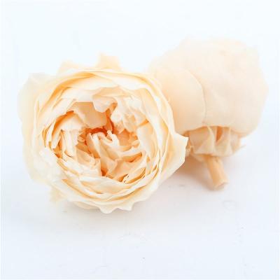 China Beautiful Colorful Product Ideas New 2020 Decorative Flowers and Garlands Wedding Austin Rose Box Rose Wedding Bouquet Wall Decor for sale