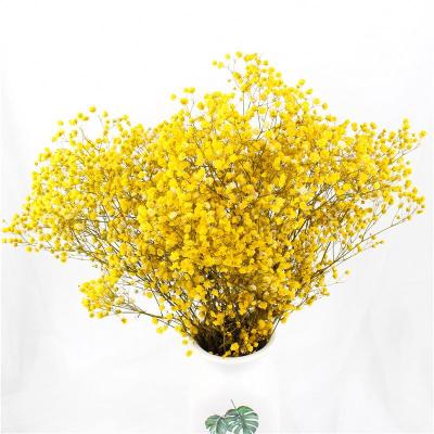 China Wholesale Colorful Dried Beautiful Eucalyptus Flower Garlands Wedding Flowers and Bouquets Decorative Garlands for sale