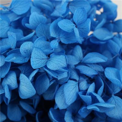 China Beautiful Colorful Wholesale Flower Wall Hydrangea Artificial Flower Seeds Wedding Boutonniere for sale