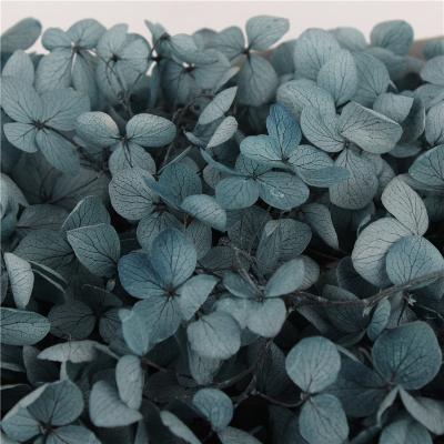 China Beautiful real touch flower hydrangea wedding decoration artificial flower colorful hot silk table centerpieces for sale