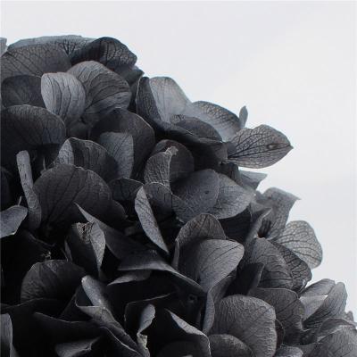 China Beautiful Colorful Wholesale Garlands Preserved Hydrangea Preserved Hydrangea Flower Wedding Boutonniere for sale