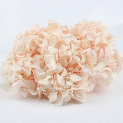 China Wholesale Beautiful Colorful Flowers Artificial Hydrangea Flower Hydrangea Wedding Centerpieces for sale