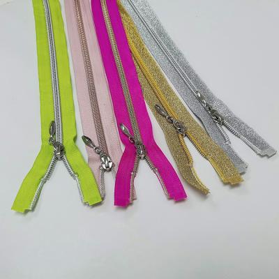 China Long Chain Long Chain #5 Roll Zipper Zipper Nylon Silver Zipper Bag Zippers for sale